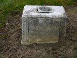 image of grave number 238798